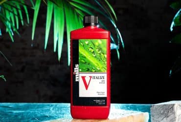 Red bottle of Mills Vitalize silicon additive surrounded by green tropical plants, displayed upright on stone blocks under dramatic grow lighting.