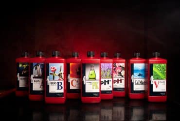 Five red bottles of Mills Nutrients: Start R, Basis A, Basis B, C4, and Ultimate PK displayed on a dark reflective surface