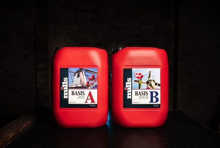 Mills Nutrients Basis A and B red bottles on dark tabletop with soft lighting and windmill imagery