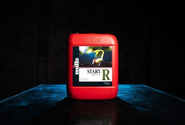 Red container of Mills Start-R placed on blue-lit tabletop, spotlighting young cannabis seedling graphic on label
