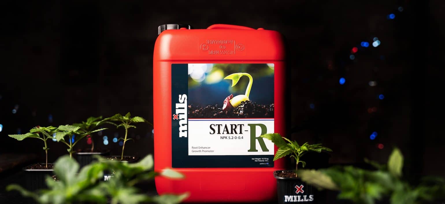 Red container of Mills Start-R placed on blue-lit tabletop, spotlighting young cannabis seedling graphic on label