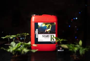 Red container of Mills Start-R placed on blue-lit tabletop, spotlighting young cannabis seedling graphic on label