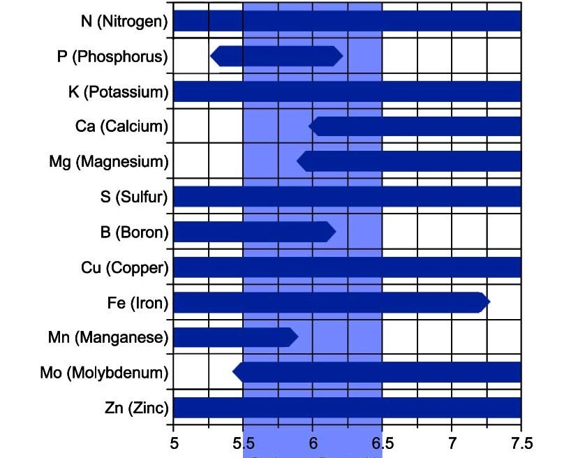 Optimaler pH-Wert für das Pflanzenwachstum. Nährstoffverfügbarkeitsdiagramm, das den optimalen pH-Wert für das Pflanzenwachstum bei Stickstoff, Phosphor, Kalium, Kalzium, Magnesium und Mikronährstoffen zeigt.