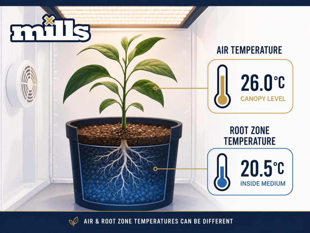 Illustration showing a crop plant with air temperature at canopy level and a different root zone temperature inside the growing medium.